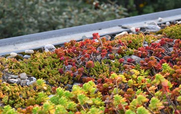 the cost of Wester Gruinards green roof installation