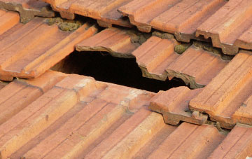 roof repair Wester Gruinards, Highland